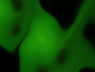 Similar image 21612429