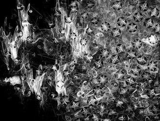 Similar image 21612745