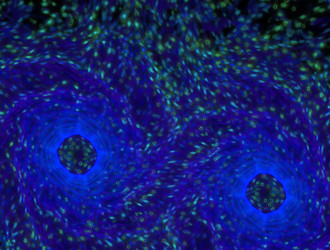 Similar image 21556945