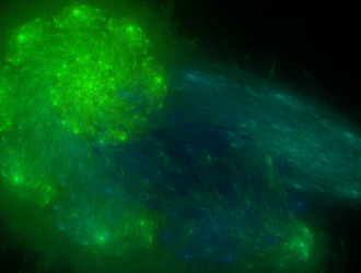 Similar image 21626254