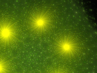 Similar image 21557147