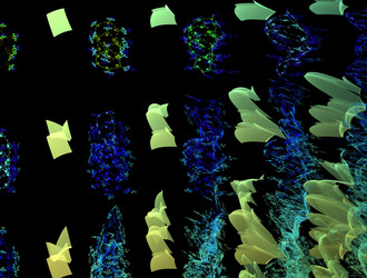 Similar image 21626257