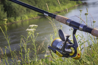 Similar image 21561622