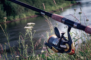 Similar image 21561623