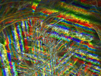 Similar image 21557405