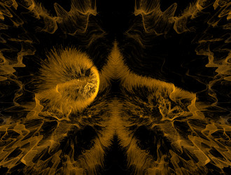 Similar image 21557816