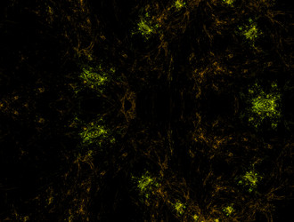 Similar image 21557021