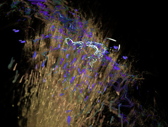 Similar image 21557420