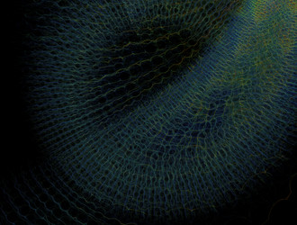 Similar image 21554837