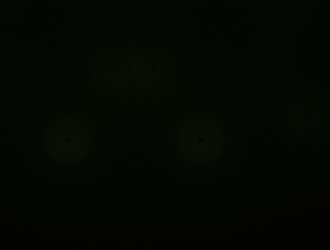 Similar image 21554792