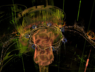 Similar image 21557070