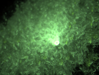 Similar image 21625987