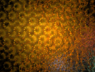 Similar image 21554854