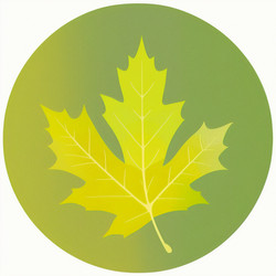 Similar image 21552681