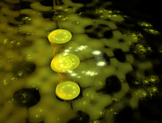 Similar image 21557897