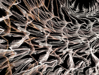 Similar image 21557480