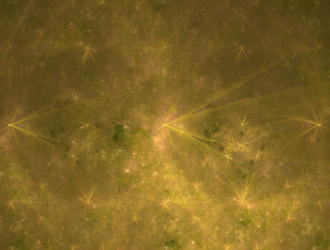 Similar image 21554315