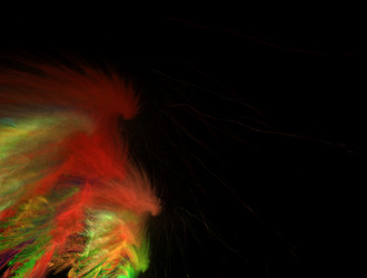 Similar image 21554570