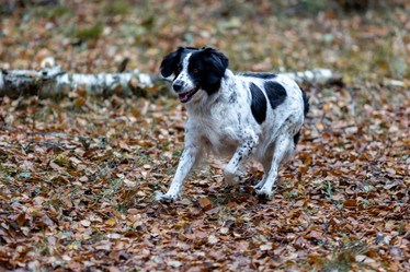 Similar image 21559981