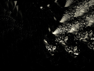 Similar image 21554573