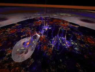 Similar image 21554575