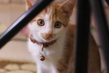 Similar image 21552779