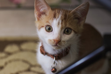 Similar image 21552780