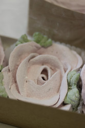 Similar image 21552783