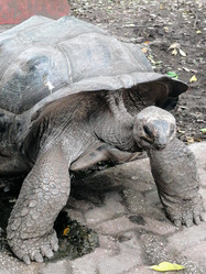 Similar image 21627741