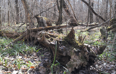 Similar image 21556408