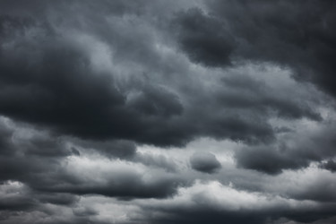 Similar image 21595899