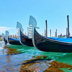 Similar image 21595974