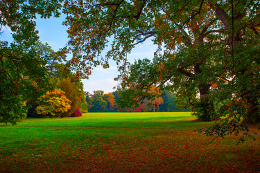 Similar image 21560652