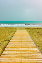 Similar image 21575470