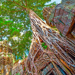 Similar image 21576269