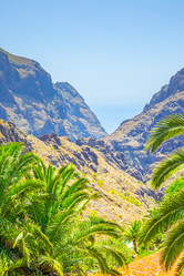 Similar image 21580905