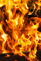 Similar image 21597322