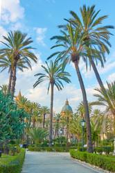 Similar image 21564208