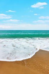 Similar image 21576418