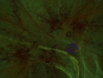 Similar image 21619303