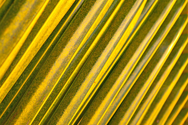 Similar image 21597538