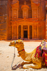 Similar image 21597683