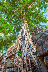 Similar image 21597698