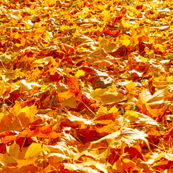 Similar image 21560212