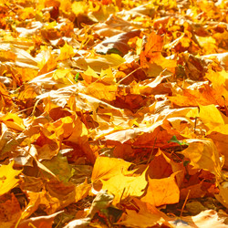 Similar image 21564242