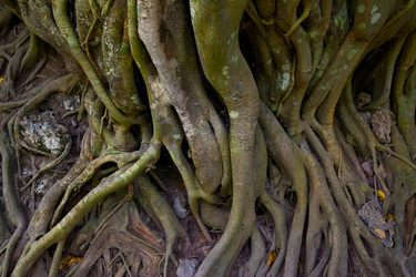 Similar image 21564248