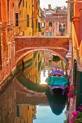 Similar image 21564256