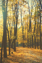 Similar image 21564262