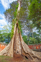 Similar image 21564268