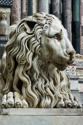 Similar image 21576672